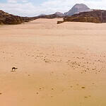 Sahara Desert Algeria