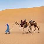 Sahara Desert Algeria
