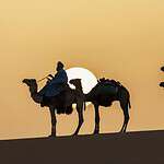 Sahara Desert Algeria